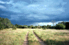 Road.gif (64369 bytes)