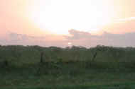 SunsetPaint.jpg (236731 bytes)